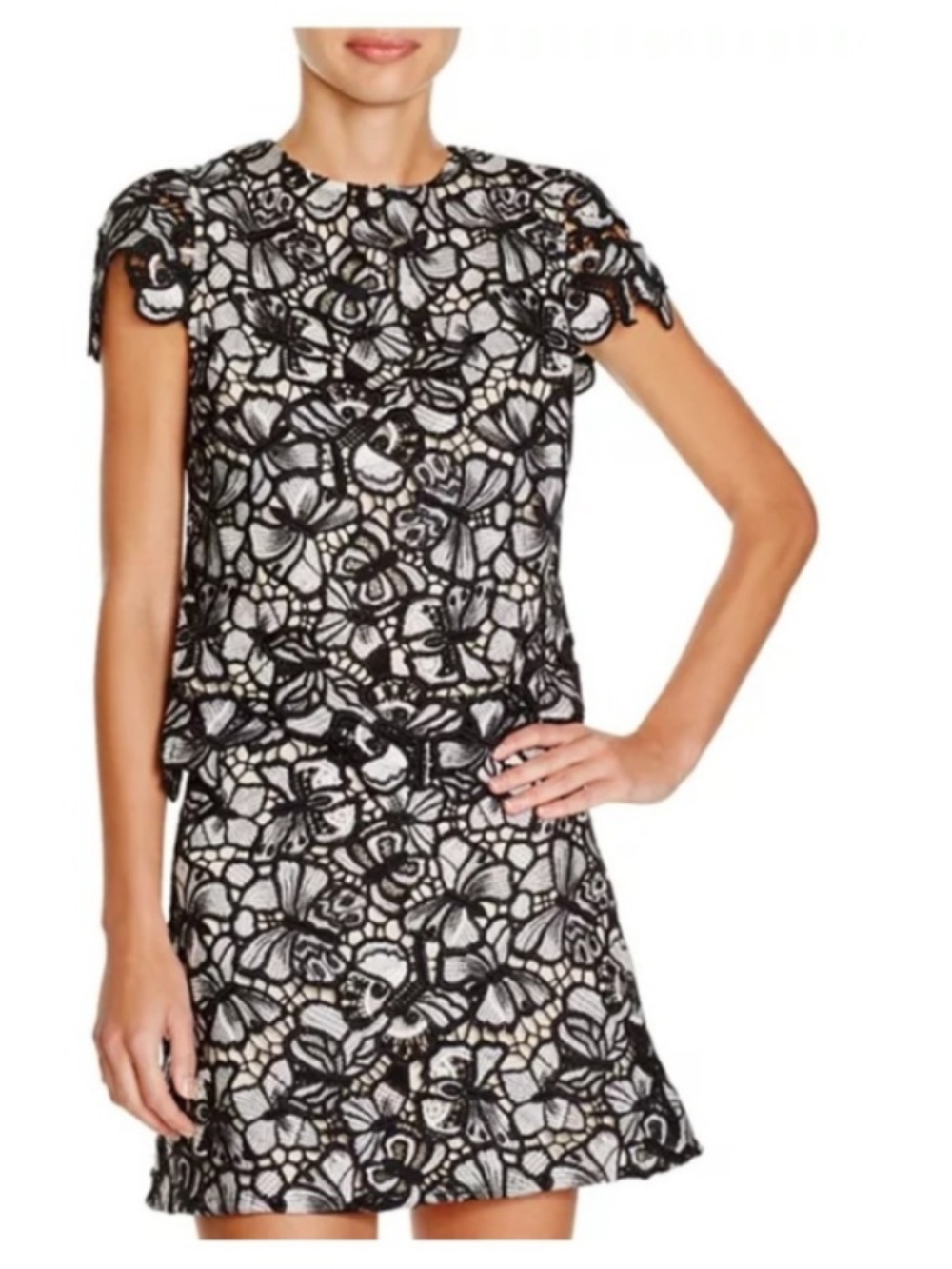 Alice Olivia Eve Butterfly Lace Crop Top Short Sleeve Black White XS‎